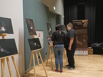 Noc nietoperzy w Zapolicach, 